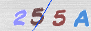 Code Anti-spam