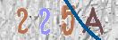 Code Anti-spam